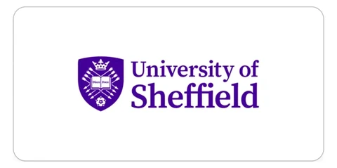 University of Sheffield